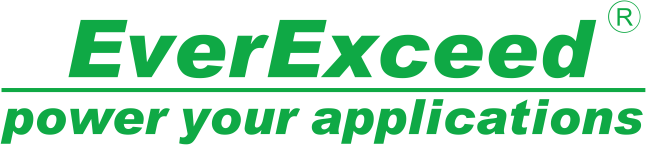 EverExceed technology partner